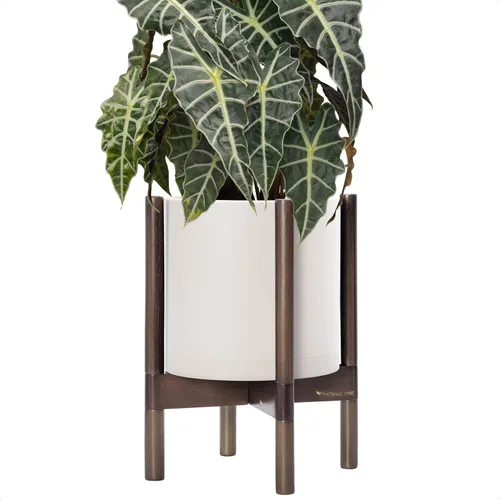 Vista 60 de Maceta de D'vine Dev con soporte - Maceta de flores de cilindro de plástico de 8.0 pulgadas con soporte de madera para interiores, maceta mate negra