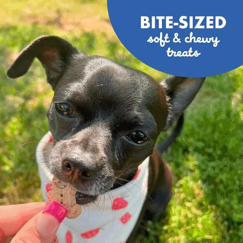 Vista 9 de Buddy Softies - Golosinas suaves y masticables para perros, tocino y queso, tarro de 20 onzas