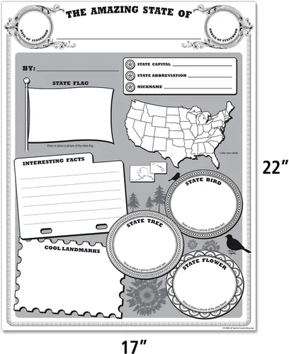 Vista 5 de Teacher Created Resources Paquete de póster Amazing State (TCR5800)
