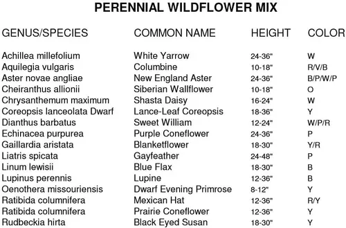 Vista 2 de Mezcla de semillas de flores silvestres perennes a granel sin OMG (1 libra) 375,000 semillas