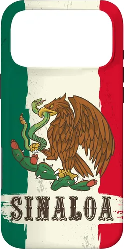 Vista 22 de Sinaloa Mexico Flag Sinaloa Case for iPhone 17
