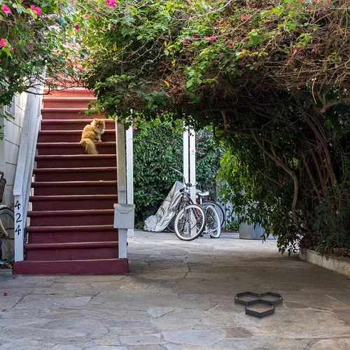 Vista 4 de Moldes de hormigón para pasear, reutilizables, para hacer caminos de bricolaje, moldes de cemento, pavimentador de piedra escalonada, pavimento