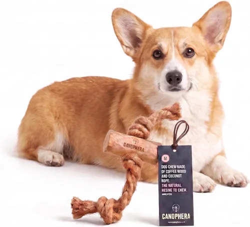 Vista 10 de Canophera Juguete masticable de madera y coco para perros para dientes y encías saludables, tamaño pequeño, todas las razas de perros