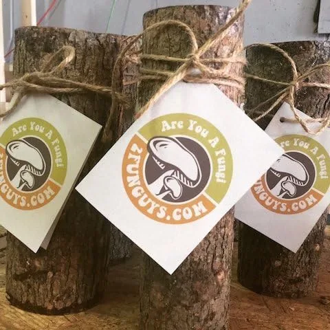 Vista 3 de ¡Aprende a cultivar hongos shiitake con tu familia! Tronco de hongos Shiitake de 12 pulgadas para cultivar hongos gourmet en casa