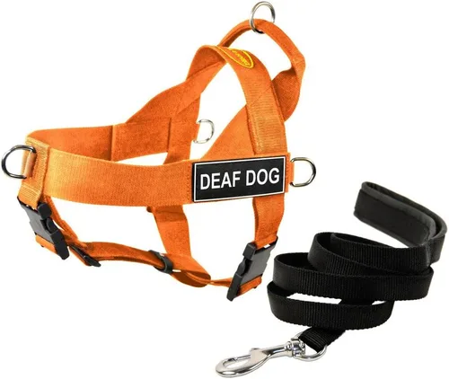 Vista 2 de Dean & Tyler DT Arnés universal sin tirones para perro, con parches para perros sordos y correa para cachorro, naranja, talla XS