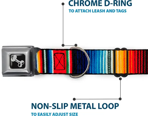 Vista 5 de Buckle-Down Zarape2 - Collar de perro con hebilla de cinturón de seguridad, rayas multicolor verticales, 1.5 pulgadas de ancho, se adapta a cuello