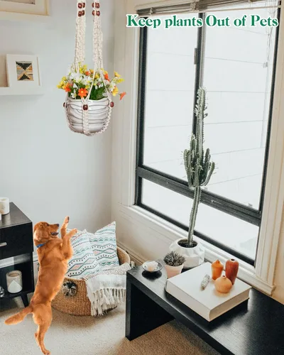 Vista 7 de GROWINGGAIR - Paquete de 5 perchas de macramé para plantas, hechas a mano, de algodón, con 10 ganchos, soporte para macetas, cuentas de madera