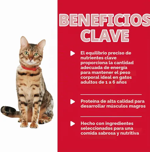 Vista 4 de Hill's Science, comida enlatada guisada dietética para perros, 2.8 onzas, paquete de 24, Adulto #1 Recomendado por veterinarios, salmón escalfado