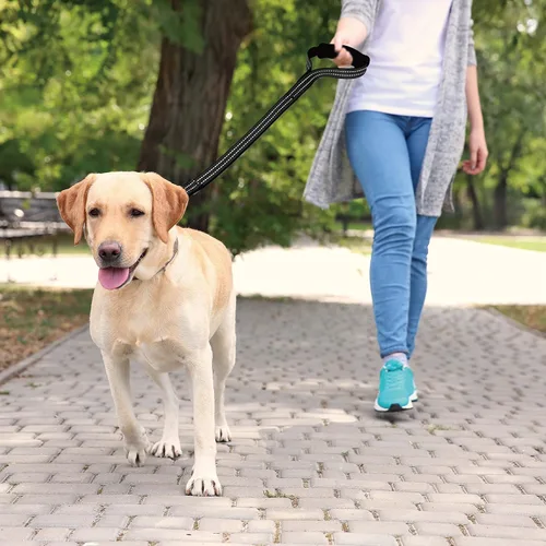 Vista 7 de KZV1020H-15L Correa de tráfico corta – Correa de entrenamiento para perros – Reflectante resistente clic y bloqueo, cable de seguridad de nailon Azul