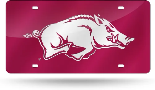 Vista 62 de Rico Industries Placa de matrícula de metal con incrustaciones láser de Florida Gators de la NCAA
