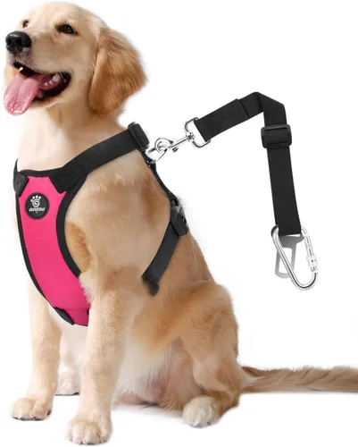 Vista 37 de VavoPaw cinturón de seguridad para perro, arnés de coche con hebilla ajustable para perro, cinturón de seguridad de nailon para mascotas, resistente
