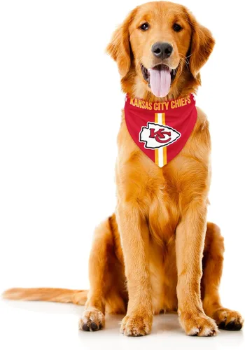 Vista 23 de Bandana de la NFL Team Dog, Rojo, S Arizona Cardinals