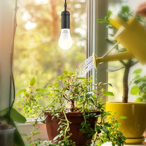 Vista 2 de Paquete de 2 bombillas LED de cultivo A19, bombilla de espectro completo para plantas, bombilla de cultivo E26 de 9 W que reemplaza hasta 80 W, luz