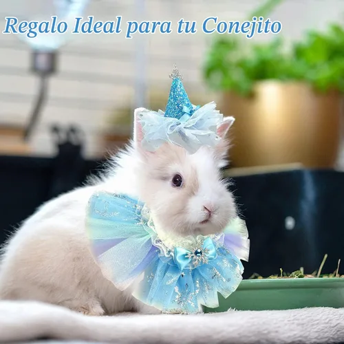 Vista 4 de Disfraz de princesa de cumpleaños de animales pequeños para conejo, conejillo de indias, corona de sombrero, falda tutú, sombrero de princesa