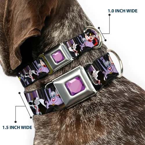 Vista 2 de buckle-down dc-wdy295-l dybf Princesa Gem Close perro collar, Large/15 – 26", Multicolor