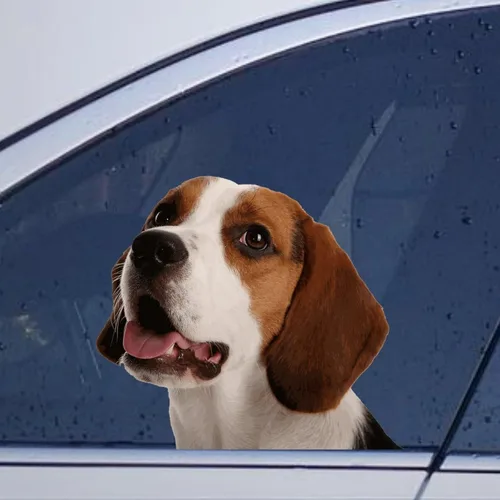 Vista 47 de Calcomanías de perro caniche, divertidas calcomanías de vinilo troqueladas para automóvil, laptop, parachoques Estilo-37