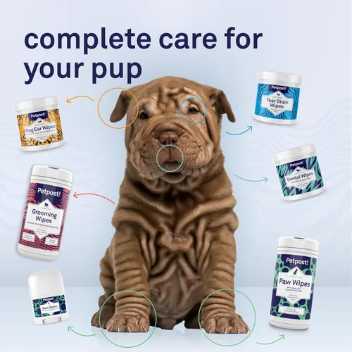 Vista 9 de Bálsamo para perros - Crema nutritiva que alivia la picazón y las patas secas del perro con ingredientes hidratantes - Aceite de coco orgánico