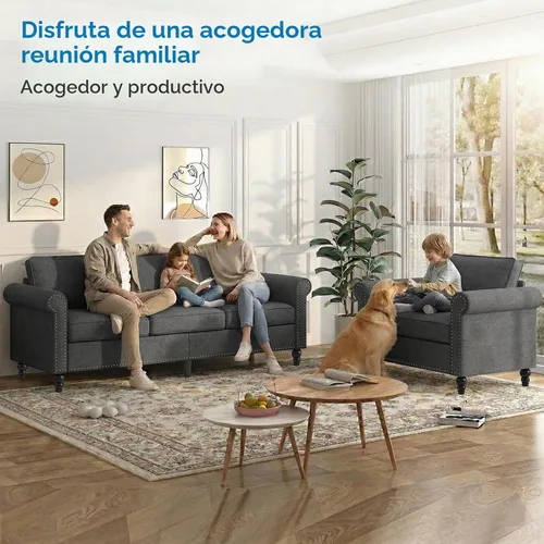 Vista 3 de Mjkone Juego de 2 Piezas para Sala de Estar, Sofá Seccional, Juego de Sofá y Silla, Sofá Moderno de Lino con Marco de Madera y Patas