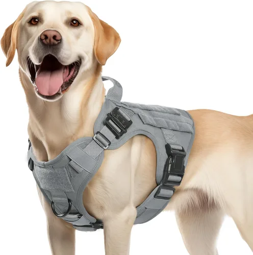Vista 48 de rabbitgoo - Arnés táctico para perros pequeños, arnés resistente para mascotas con asa, chaleco de servicio sin tirones para razas pequeñas, chaleco