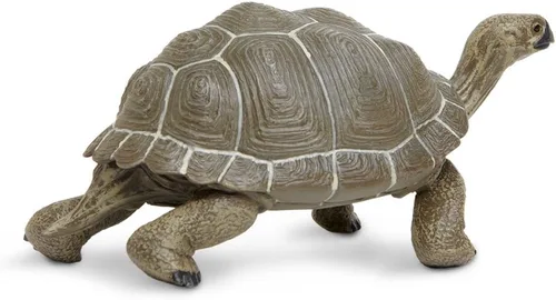 Vista 2 de Safari Ltd. Figura de tortuga – Figura detallada de plástico de 8.5 pulgadas – Divertido juguete educativo para niños, niñas y niños a partir de 18