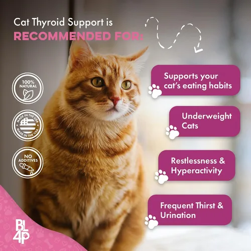 Vista 8 de Ganador de peso para gatos y apoyo para la tiroides – Estimulante natural del apetito para gatos, gatitos con bajo peso o gatos mayores que muestran