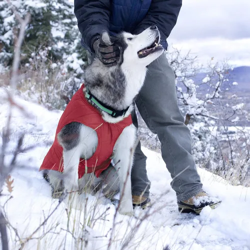 Vista 7 de Kurgo Loft Chaqueta para Perro - Abrigo Acogedor Reversible para Aventuras al Aire Libre - Resistente al Agua - Ajuste Atlético - Tela Lavable a