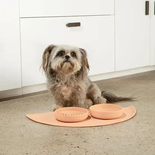 Vista 6 de Should We Go? Alimentador lento para perros y gatos, el tazón Slowdown de silicona, solución para comer lentamente con diseño moderno de alfombrilla