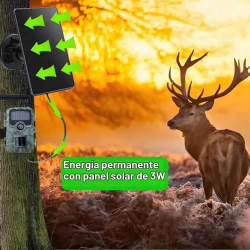Vista 5 de Panel solar de cámara de sendero, mini cargador de batería solar DC 12V/1A 6V/1.5A batería de litio recargable incorporada de 5000 mAh, accesorio