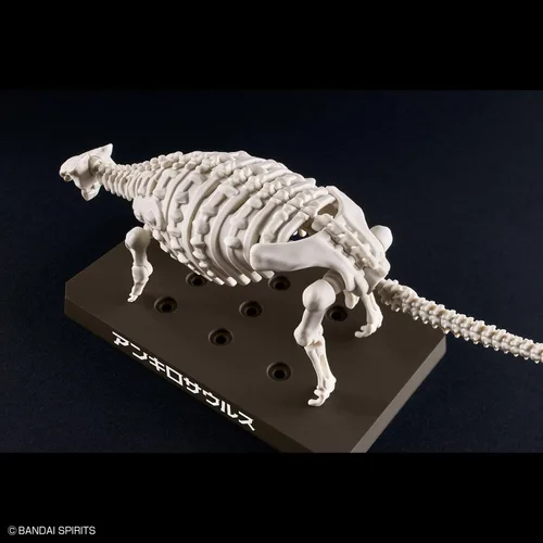 Vista 13 de Bandai Hobby - Plannosaurus - Kit de modelo de dinosaurio anquilosaurio #06