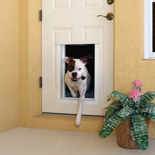 Vista 2 de PlexiDor Performance Pet Doors - Puerta electrónica para perros, montaje de puerta de bronce grande
