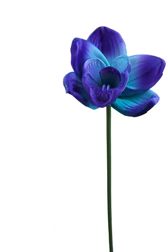 Vista 2 de Juego de 10 orquídeas artificiales de tacto real (morado)