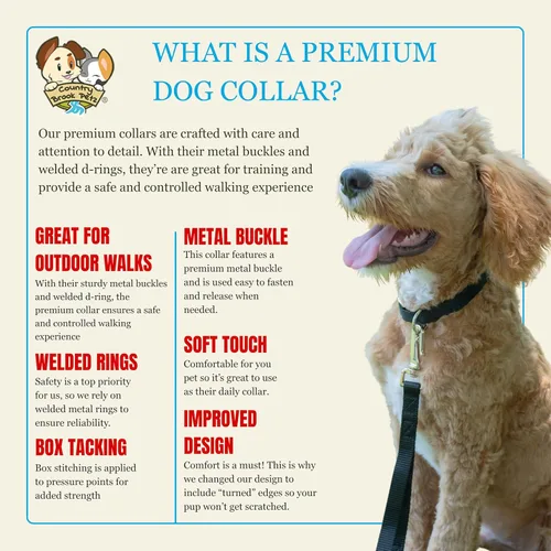 Vista 5 de Country Brook Petz – Collar de nailon premium para perro con hebilla de metal para razas pequeñas, medianas y grandes - 10+ colores geniales