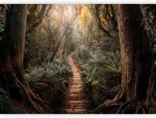 Vista 27 de artgeist Mural de pared premium Bosque púrpura, 79 x 55 pulgadas, papel tapiz no tejido, decoración de pared de vellón, impresión fotográfica
