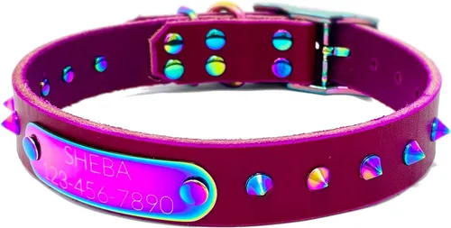 Vista 9 de Collar de perro de cuero con brida hecha a mano, grabado arco iris de acero inoxidable (negro)