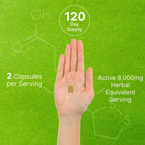 Vista 5 de Suplemento orgánico de hongos 10 en 1, 240 cápsulas – Melena de león, cola de pavo, reishi, cordyceps y más complejo de hongos – Apoyo inmunológico