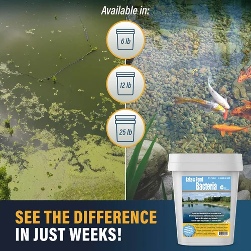 Vista 4 de Outdoor Water Solutions PSP0152 Paquete de prueba de bacterias de lago y estanque