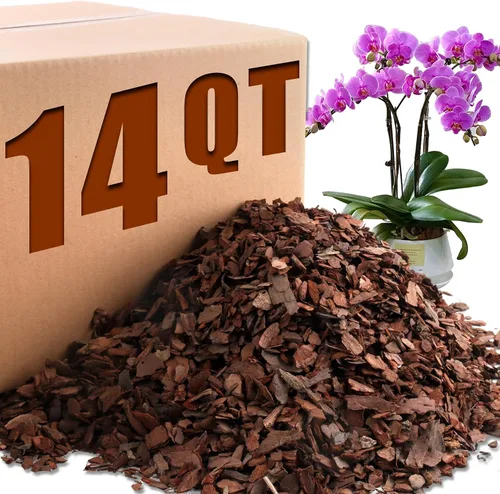 Vista 9 de AVALUTION Corteza para macetas de orquídeas: corteza de orquídea orgánica de 3 cuartos para plantas, todos los chips de madera de corteza de pino