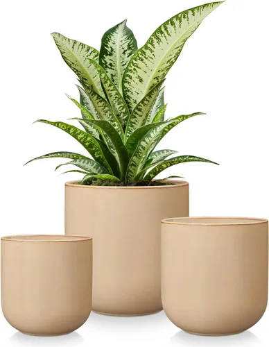 Vista 15 de vancasso Macetas de cerámica, 4+5+6 pulgadas, juego de 3, macetas con orificio de drenaje, macetas para plantas de interior, maceta moderna Blanco