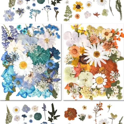 Vista 4 de 184 PCS Real Pressed Dried Flowers and Leaves for Resin Multi