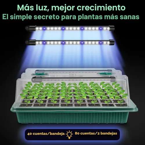 Vista 8 de BlumWay Bandeja de inicio de semillas con luz de crecimiento, paquete de 2 bandejas de semillas de 80 celdas con cúpula de humedad, kit de inicio