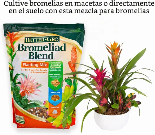 Vista 2 de Better-Gro - Mezcla de bromelia para macetas para plantas tropicales, 8 cuartos de galón
