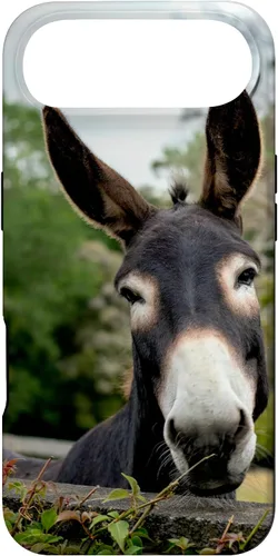 Vista 27 de Funda Donkey para iPhone 17