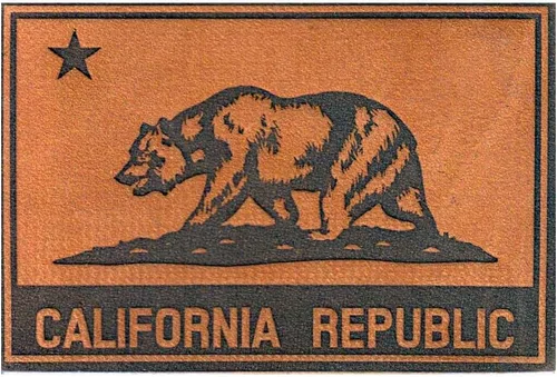 Vista 5 de Parche de moral para placa de matrícula de California Bay Area Gancho y bucle para sombreros, jeans, chalecos, abrigos, 2 x 3 pulgadas por Pull