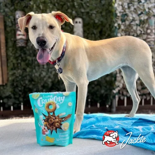 Vista 9 de Fromm Crunchy Os Bacon Blasters - Golosinas para perros con sabor a tocino, golosinas crujientes prémium para perros, receta de tocino, 6 onzas