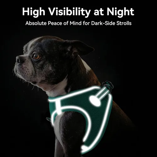 Vista 18 de Joytale Arnés para Perros Pequeños, Chaleco de Malla Transpirable Step-in, Arneses Acolchados Suaves Reflectantes para Gatos y Perros Cachorros