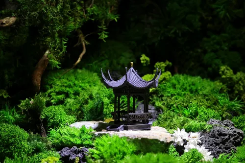 Vista 2 de KARESANSUI Pabellón chino tradicional - decoración de terrario, decoración de acuario chino, accesorios de jardín de hadas, decoración de paludario