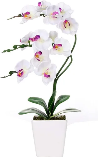 Vista 20 de Arreglos de macetas de plantas de flores de orquídea Phalaenopsis de seda artificial de 15 pulgadas de alto (verde manzana)