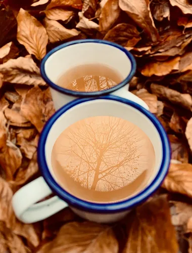 Vista 5 de Chaga 100% cosechada silvestre de primera calidad - 30 bolsas de té (Chaga Chai)