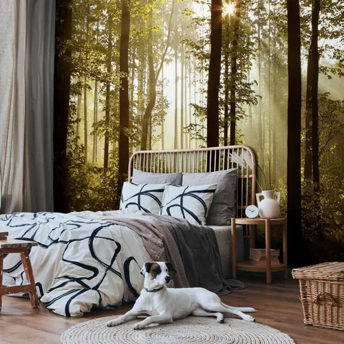 Vista 51 de artgeist Mural de pared premium Bosque púrpura, 79 x 55 pulgadas, papel tapiz no tejido, decoración de pared de vellón, impresión fotográfica