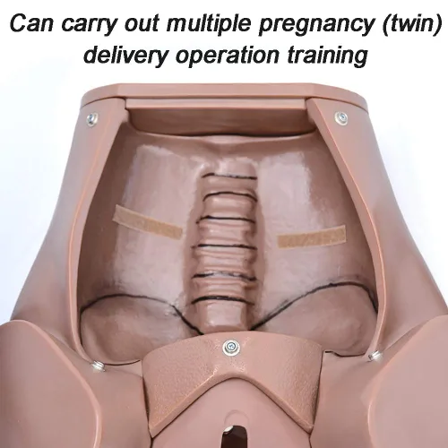 Vista 3 de Modelo de pelvis de demostración de parto, simulador de parto de tamaño real modelo anatómico pélvico de entrega molde de enseñanza de maternidad